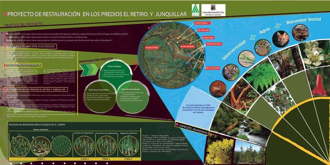 Infografía de restauración ecológica