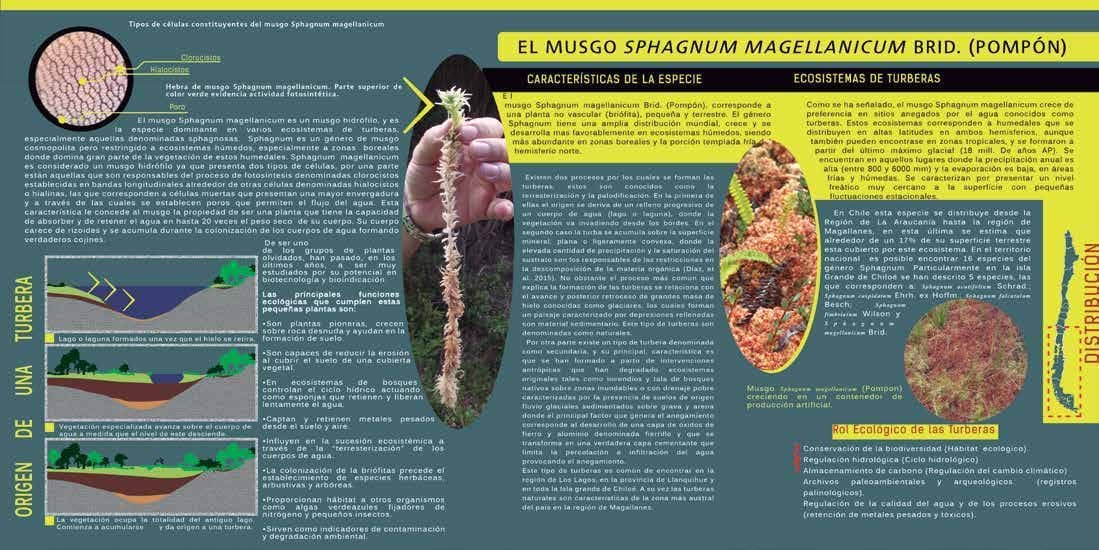 Infografía de turberas