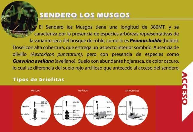 Señalética Sendero Los Musgos