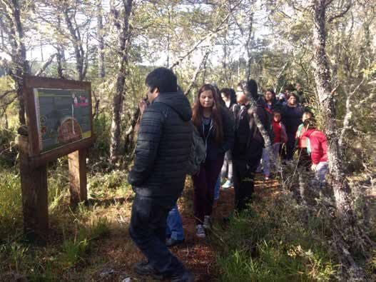 Capacitación y actividades con comunidad escolar