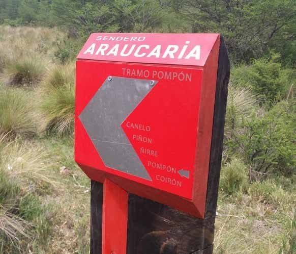 Técnica Shou Sugi Ban aplicada en señalética