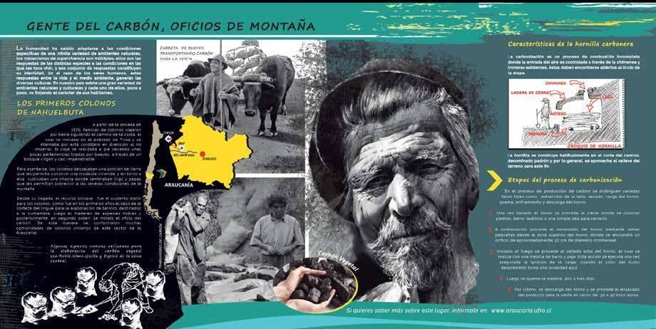 Colonización y territorio
