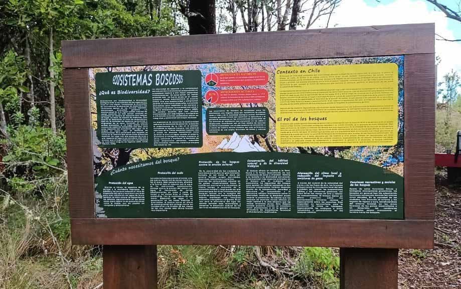Ecosistemas boscosos
