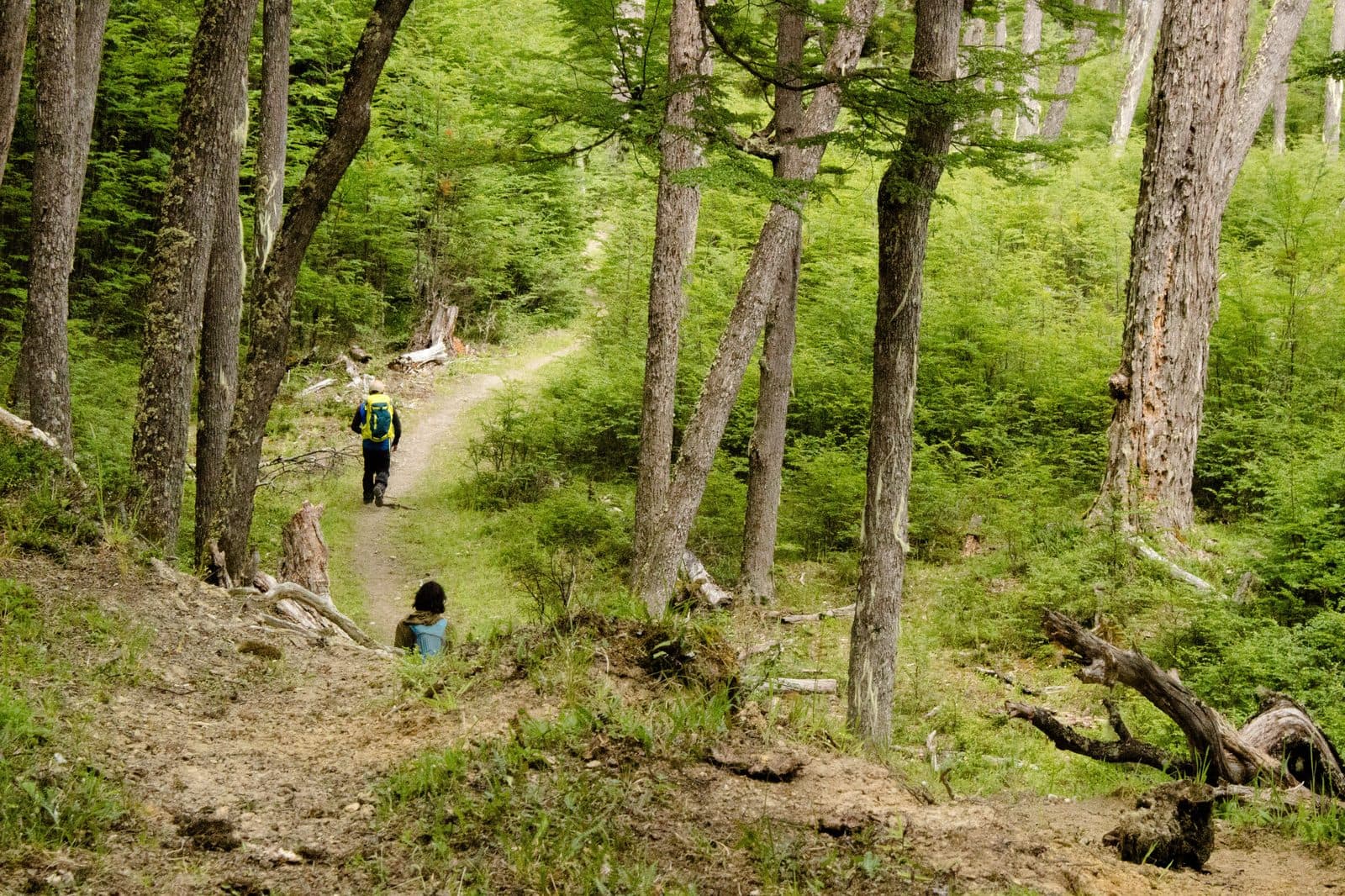 Ruta Patrimonial Los Pioneros, Carretera Austral, Región de Aysén