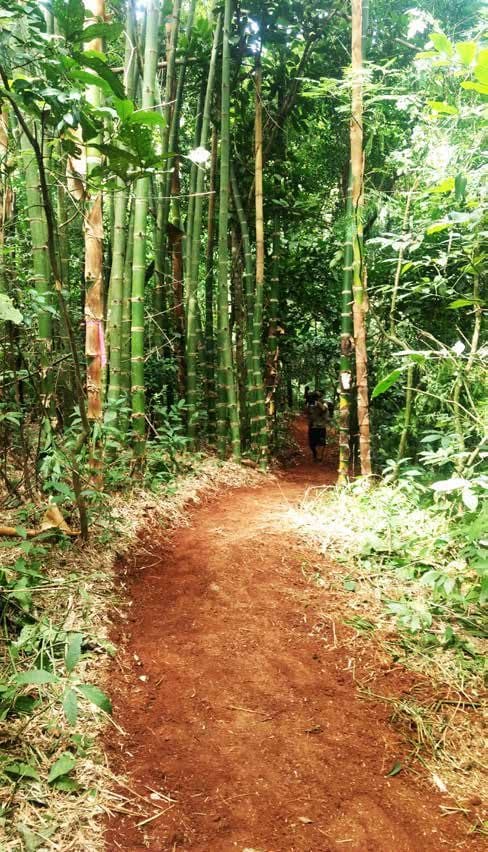 Superficie terminada de sendero de bajo impacto