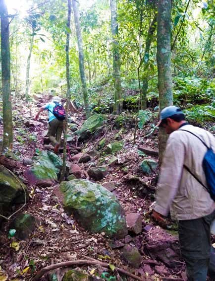 Senda erosionada por uso productivo histórico en la Reserva Ybytyruzú