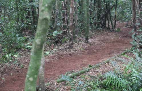 Sendero restaurado — vista 3
