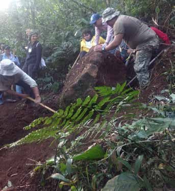 Trabajos en el trazado de la ruta — fase 3