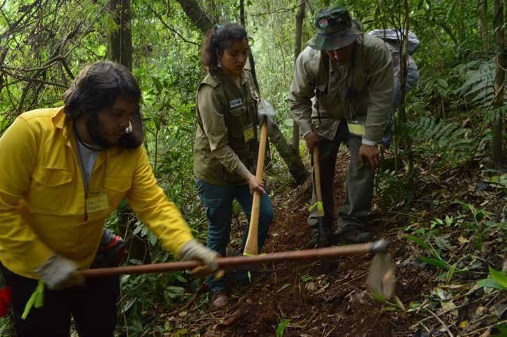 Trabajos en el trazado de la ruta — fase 4