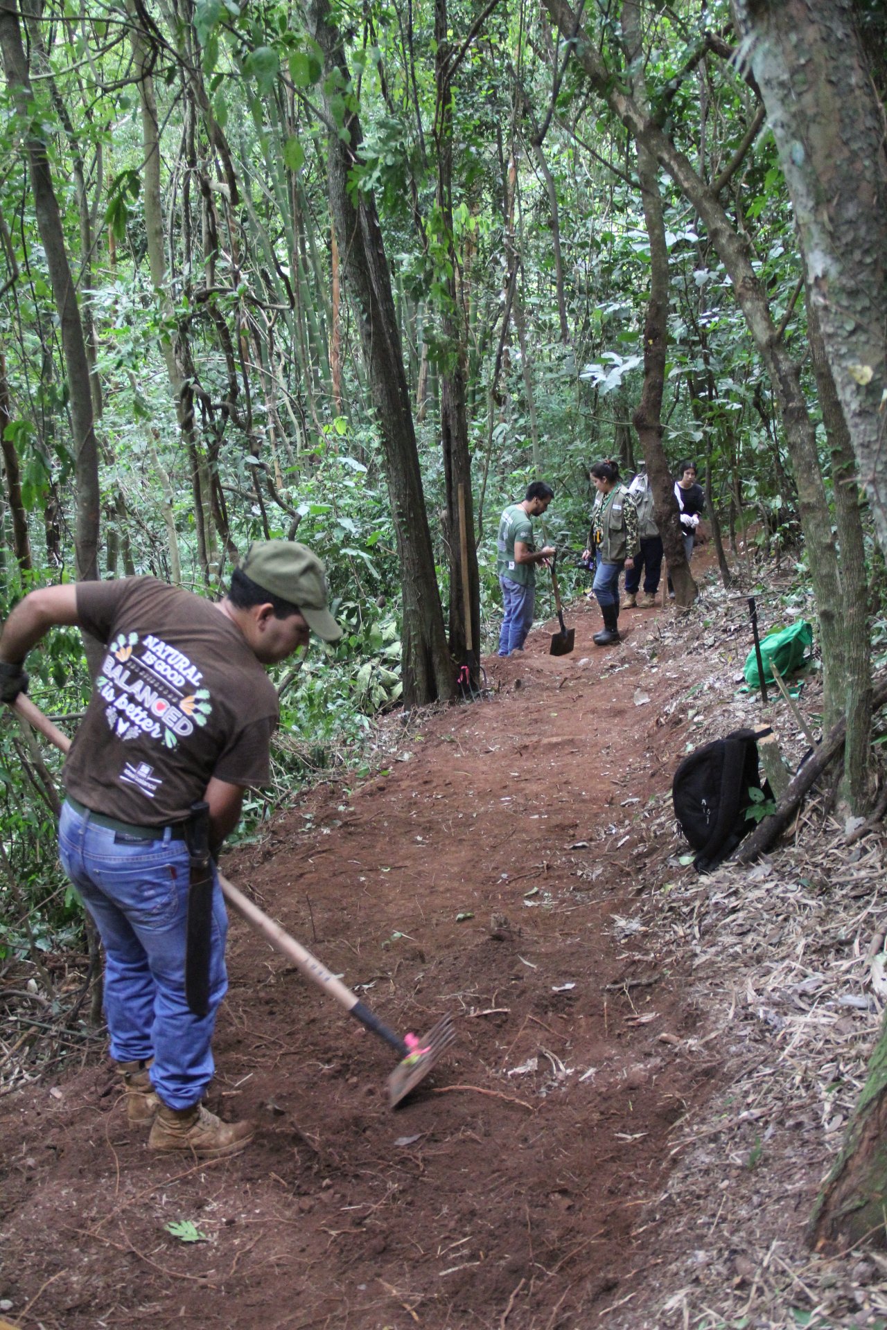 Afinado de sendero