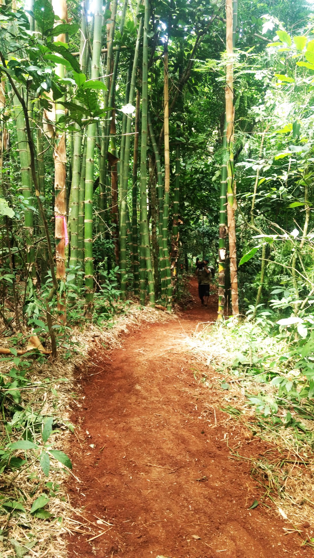 Sendero terminado Cerro Cordillera del Ybytyruzú-Paraguay