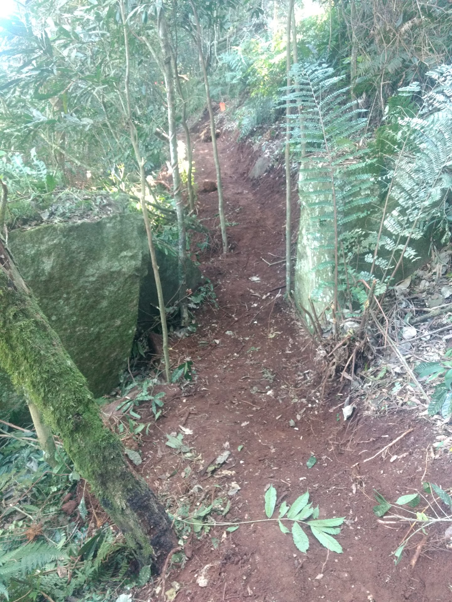 Cordillera del Ybytyruzú-Paraguay
