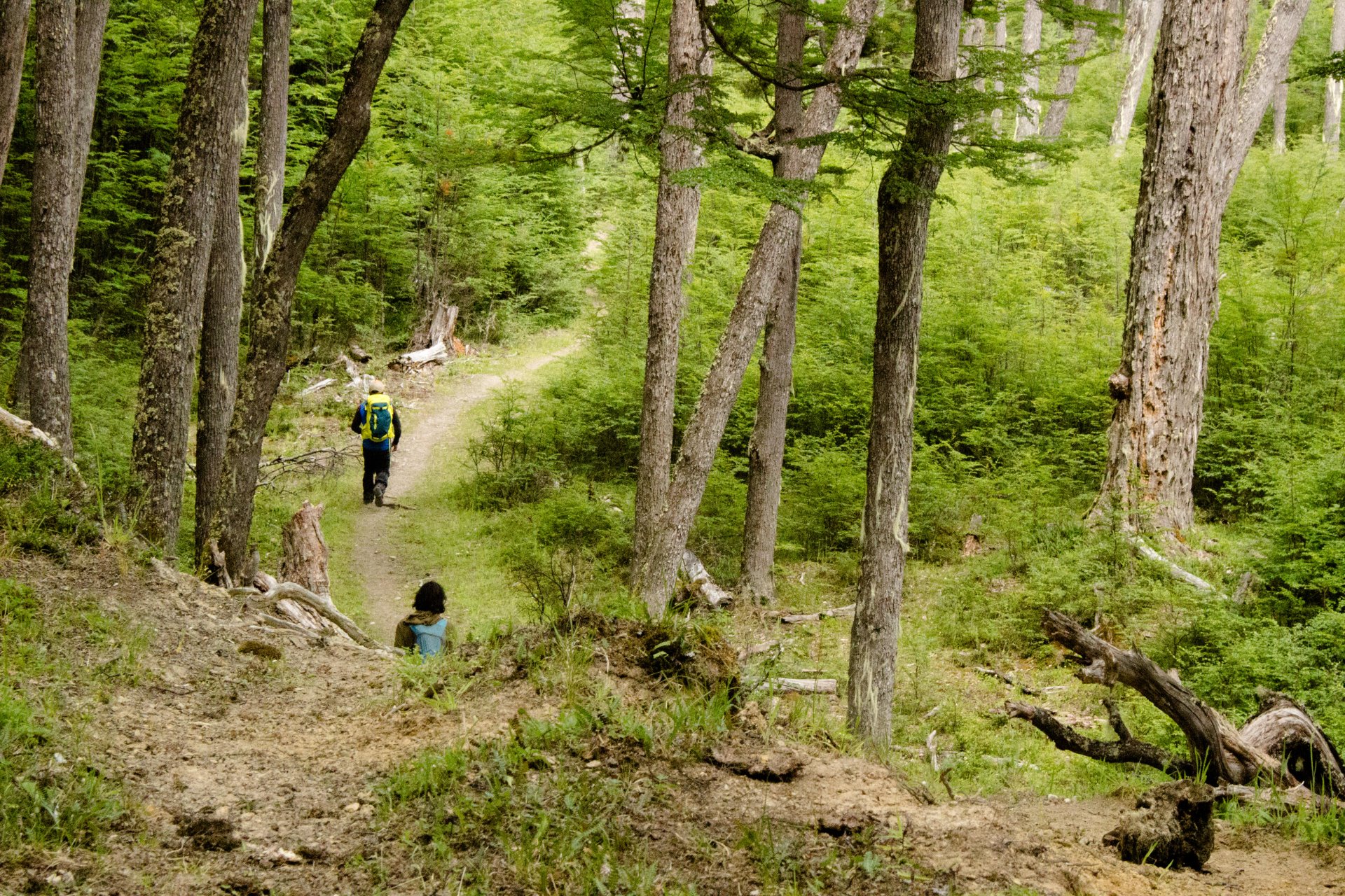 Ruta de los pioneros cochrane villa o'higgins