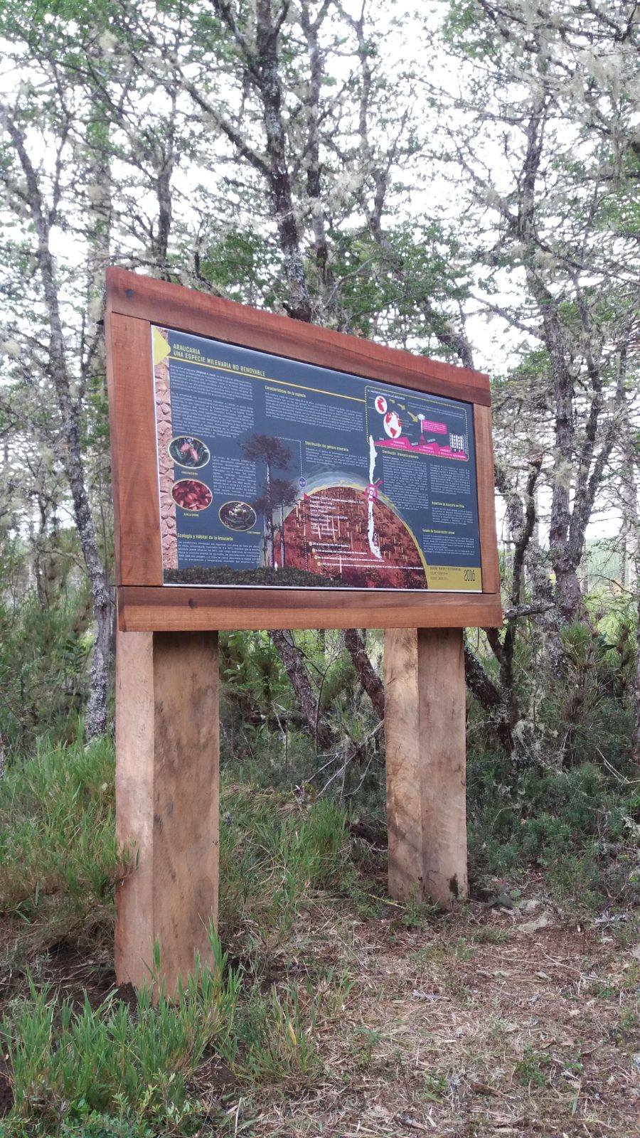 Estación informativa Bien Nacional Protegido Las Araucarias