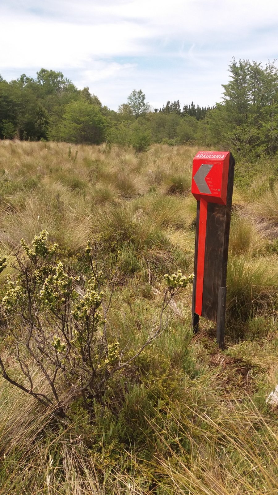 Señalética  Bien Nacional Protegido Las Araucarias